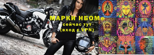 стафф Вязьма