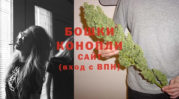 молекула духа Бородино