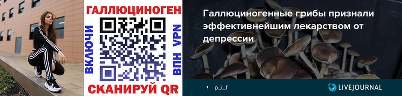Галлюциногенные грибы Cubensis Калтан